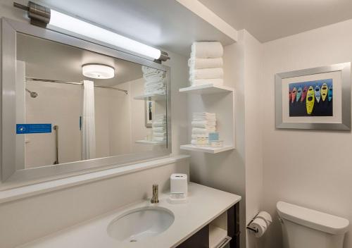 Covington维吉尼亚州卡温顿汉普顿酒店的一间带水槽、镜子和卫生间的浴室