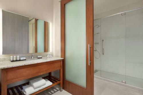 萨拉索塔Embassy Suites By Hilton Sarasota的一间带水槽和淋浴的浴室