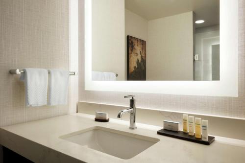 圣安东尼奥Embassy Suites By Hilton San Antonio Landmark的一间带水槽和大镜子的浴室