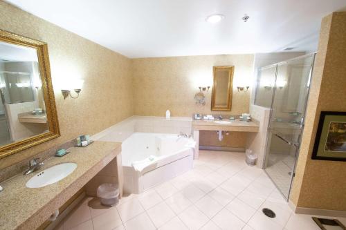 里士满弗吉尼亚十字酒店 - 希尔顿Tapestry Collection酒店的带浴缸、水槽和浴缸的大浴室