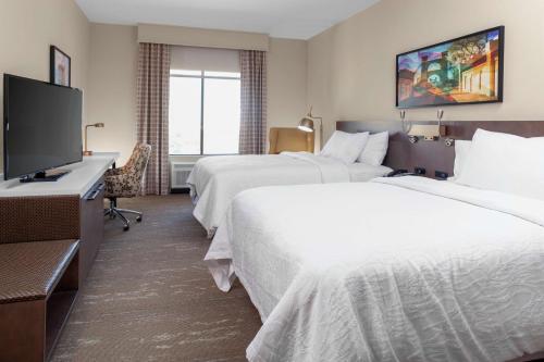 韦科Hilton Garden Inn Waco的酒店客房设有两张床和一台平面电视。