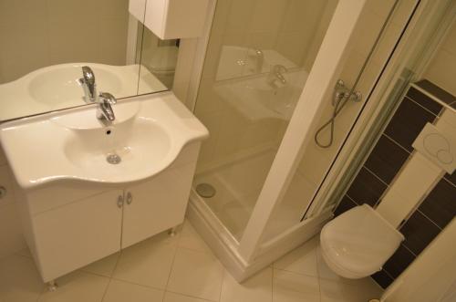 巴斯卡Apartments Soldo的一间带水槽、淋浴和卫生间的浴室
