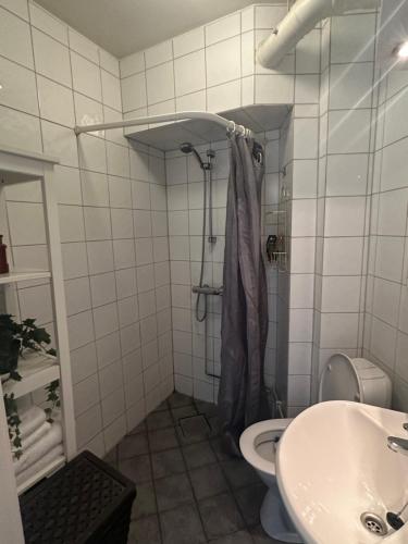 奥斯陆35m2 apartment in central oslo的带淋浴、卫生间和盥洗盆的浴室