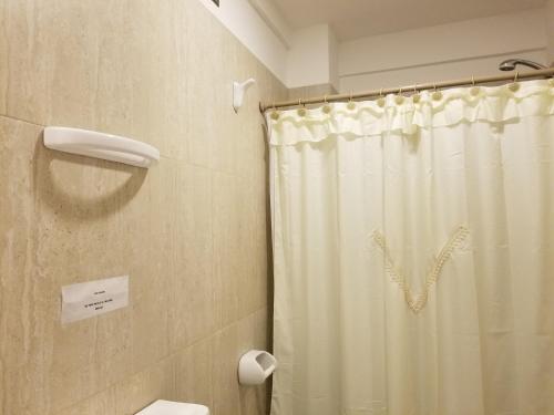 拉里奥哈DELFINA suites 1A的带淋浴帘和卫生间的浴室