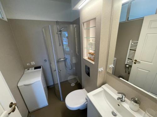 惠拉盖尔济Cosy Studio Apartment的带淋浴、卫生间和盥洗盆的浴室