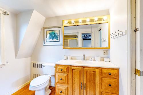 West RutlandThe Carriage House at The Garden Estate的一间带卫生间、水槽和镜子的浴室