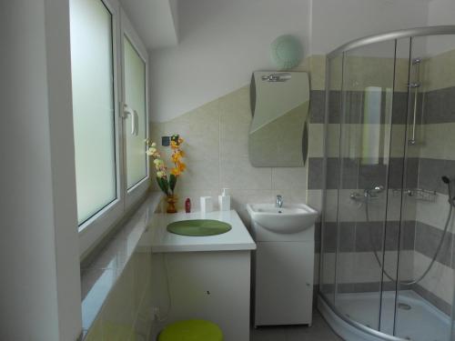 克拉科夫埃克斯特拉博克耶杜维纳耶西亚旅舍的一间带水槽和淋浴的浴室