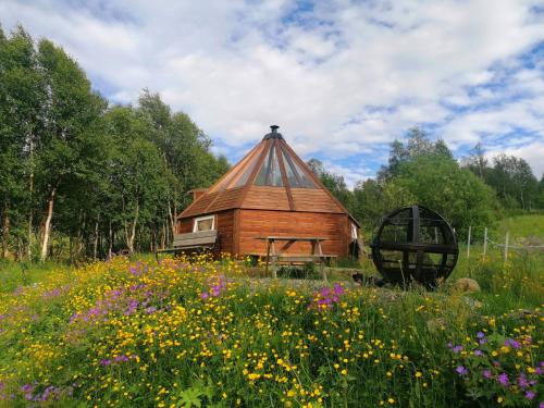 VårhusHessdalen Ufocamp的花田中茅草屋顶的小木屋