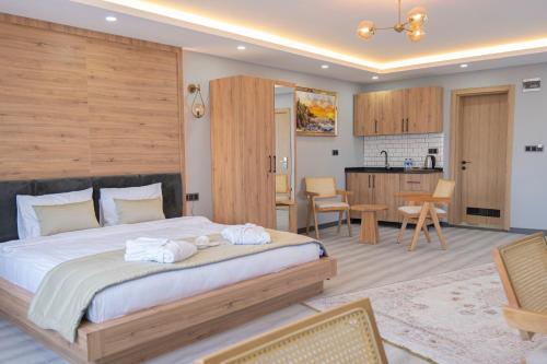 伊斯坦布尔Galata Greenland Hotel的一间带大床的卧室和一间厨房