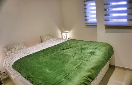 戛纳Ref MIDI - Palmes d'Or Properties的一间卧室配有一张带绿毯的床