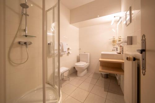 第戎Hôtel Wilson - Teritoria的带淋浴、卫生间和盥洗盆的浴室