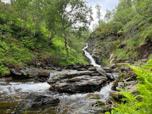 沃斯Voss Waterfalls - Norway Mountain Cabin & Traveller Award Winner!的森林中间一条有瀑布的河流