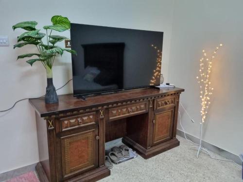艾恩VictoriaS的木桌上的电视,上面有植物