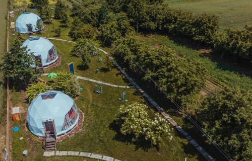 纳文丘夫Glamping Stacja Zieleniec w Nałęczowie的享有公园顶部的帐篷和树木美景