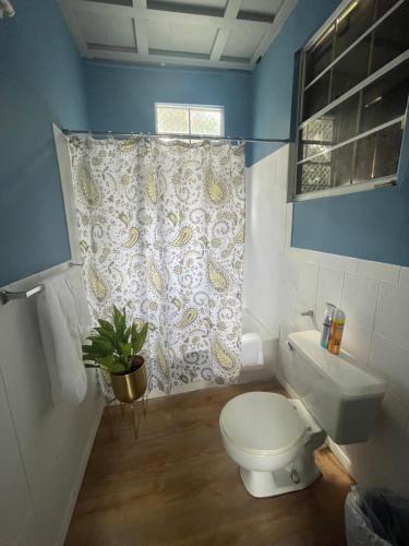 Branns HamletJJ Guest House的一间带卫生间和淋浴帘的浴室