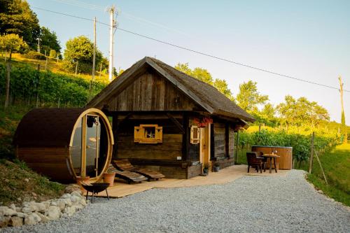 奥托亚克Glamping Paradise Škatlar的小屋设有茅草屋顶和天井。