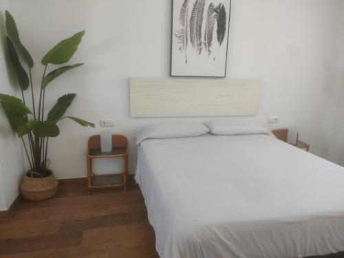 拉斯内格拉斯Apartamentos Cala San Pedro的卧室配有白色的床和植物