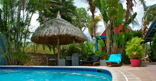 威廉斯塔德加勒比海弗拉沃公寓酒店的一个带草伞和椅子的游泳池