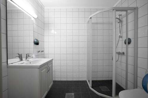 霍夫灵恩斯穆凯斯特富路斯图酒店的白色的浴室设有水槽和淋浴。