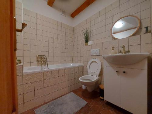 Malá VeleňU Maliny Děčín - apartmán Viktorie的一间带水槽、卫生间和镜子的浴室