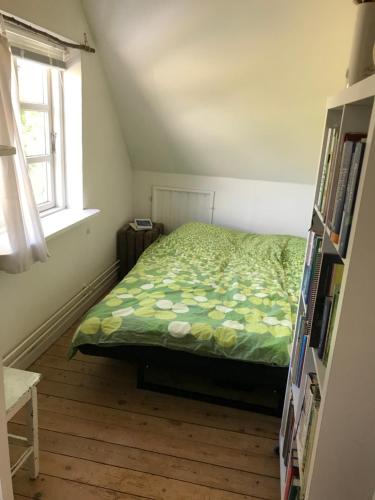 OllerupSolfryd i Ollerup的一间卧室配有一张带绿色棉被的床和窗户。