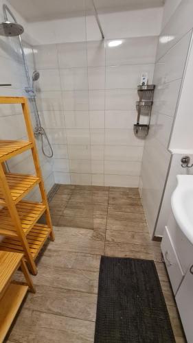 斯洛文尼亚格拉代茨Apartma pri babici的一间带水槽和玻璃淋浴的浴室