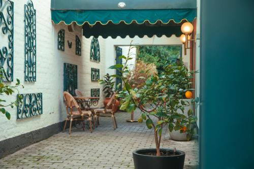 塔尔卡Hotel Marcos Gamero的庭院里种有盆栽植物,配有桌椅