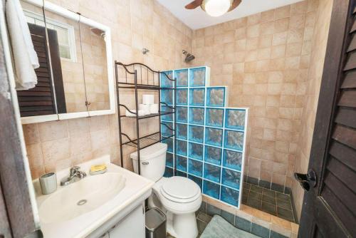 林康Puntas Rincon Villa 301 with private rooftop terrace的一间带卫生间、水槽和镜子的浴室