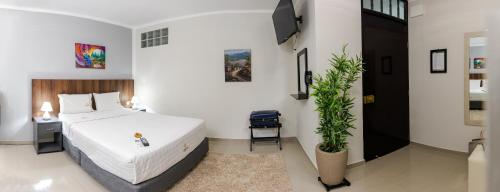 哈恩GOYA HOTEL的一间卧室配有一张床和盆栽植物