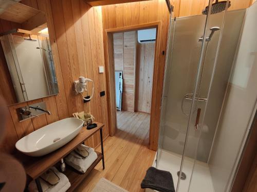 SolagnaTree House San Giorgio的一间带水槽和淋浴的浴室