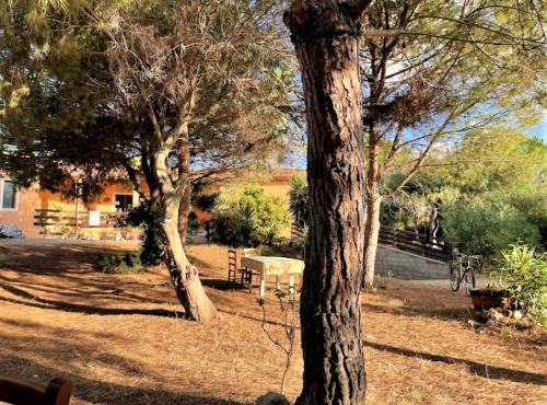 普佐伊杜Il Lentischio del Sinis的公园里一群树木和野餐桌