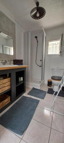 Saint-Vincent-de-Paulla Sapinière的浴室设有卫生间、水槽和蓝色地毯。