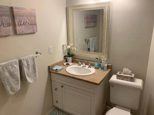 科布尔山湾景住宿加早餐酒店的一间带水槽、卫生间和镜子的浴室