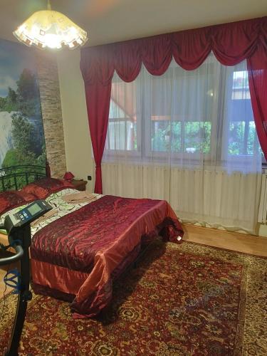 鲍洛通凯赖斯图尔Gabi vendégház的一间卧室设有一张床和一个大窗户