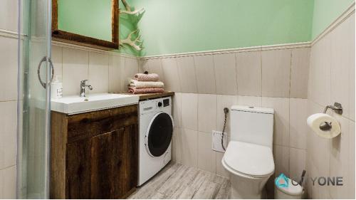 格但斯克Apartament z Werandą w Dworku Oliwskim的浴室配有卫生间水槽和洗衣机。