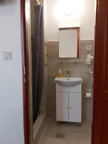 布达佩斯Guest House Orczy Park的一间带水槽和镜子的浴室