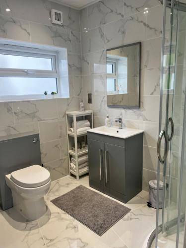 滨海绍森德The Wedge的浴室配有卫生间、盥洗盆和淋浴。