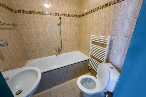 Rudník鲁德尼克哈麦克膳食公寓酒店的浴室配有卫生间、盥洗盆和淋浴。