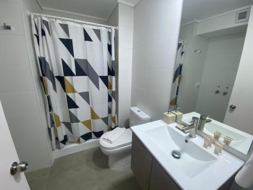 特木科Epicentro Suites Apart Hotel - Temuco的一间带水槽、卫生间和淋浴的浴室