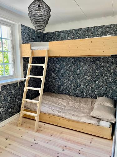 科尔莫登Villa Rye Street Kolmården的一间卧室配有带梯子的双层床