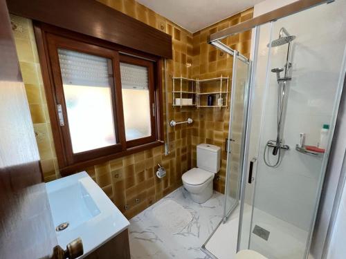 桑亨霍Apartamento en Nanin-Sanxenxo的一间带卫生间和玻璃淋浴间的浴室