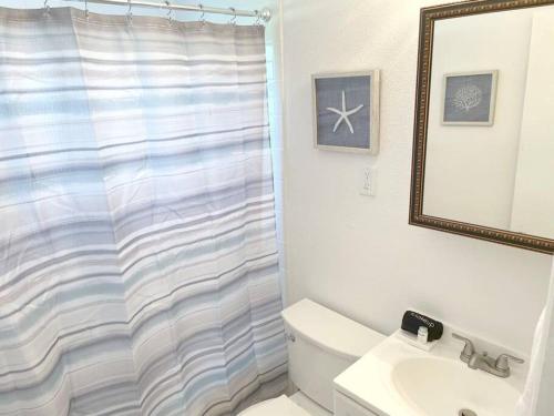 蓬塔戈尔达Modern Apartment - 4 of 4的浴室配有淋浴帘、卫生间和盥洗盆。