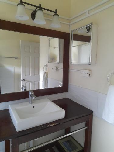CarriacouAlexander's Apartment Carriacou的一间带水槽和镜子的浴室