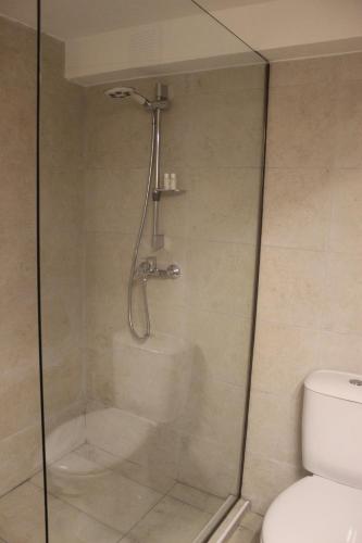 奥赫里德Apartment Sneshka的设有带卫生间的浴室内的淋浴间