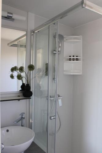 科兰Sha-Shaaa Luxury Mobile Home - Terra Park SpiritoS的一间带玻璃淋浴和水槽的浴室