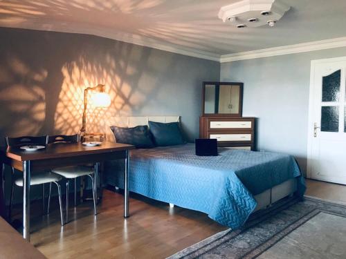 伊斯坦布尔Cozy Room in Istanbul's Central Uskudar的一间卧室配有一张床、一张桌子和一张桌子
