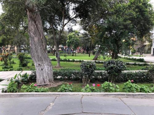 利马Sta Catalina / San Isidro , Furnished Family Home的公园里种着树木和花的公园