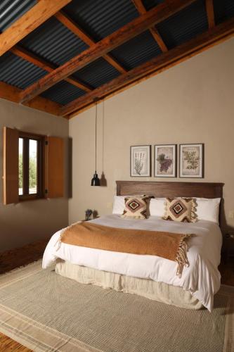 瓜达鲁佩镇Alma Liebre Viñedos del Valle的一间卧室,卧室内配有一张大床
