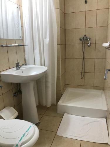 索瓦塔Hotel Hefaistos - Sovata的浴室配有卫生间、盥洗盆和淋浴。