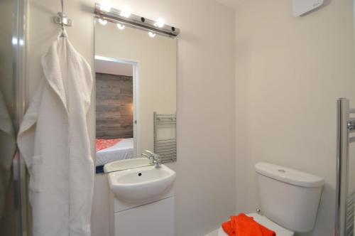 Thistles -Private Entrance Studio的一间带水槽、卫生间和镜子的浴室